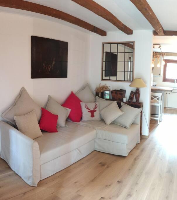 Cozy Apartment In The Heart Of The Alps Chateau-d'Oex Bagian luar foto