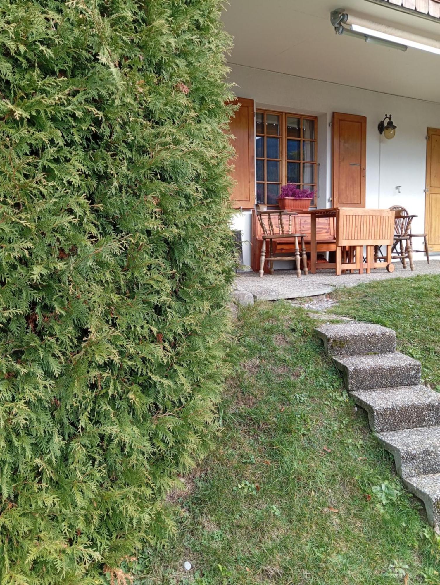 Cozy Apartment In The Heart Of The Alps Chateau-d'Oex Bagian luar foto