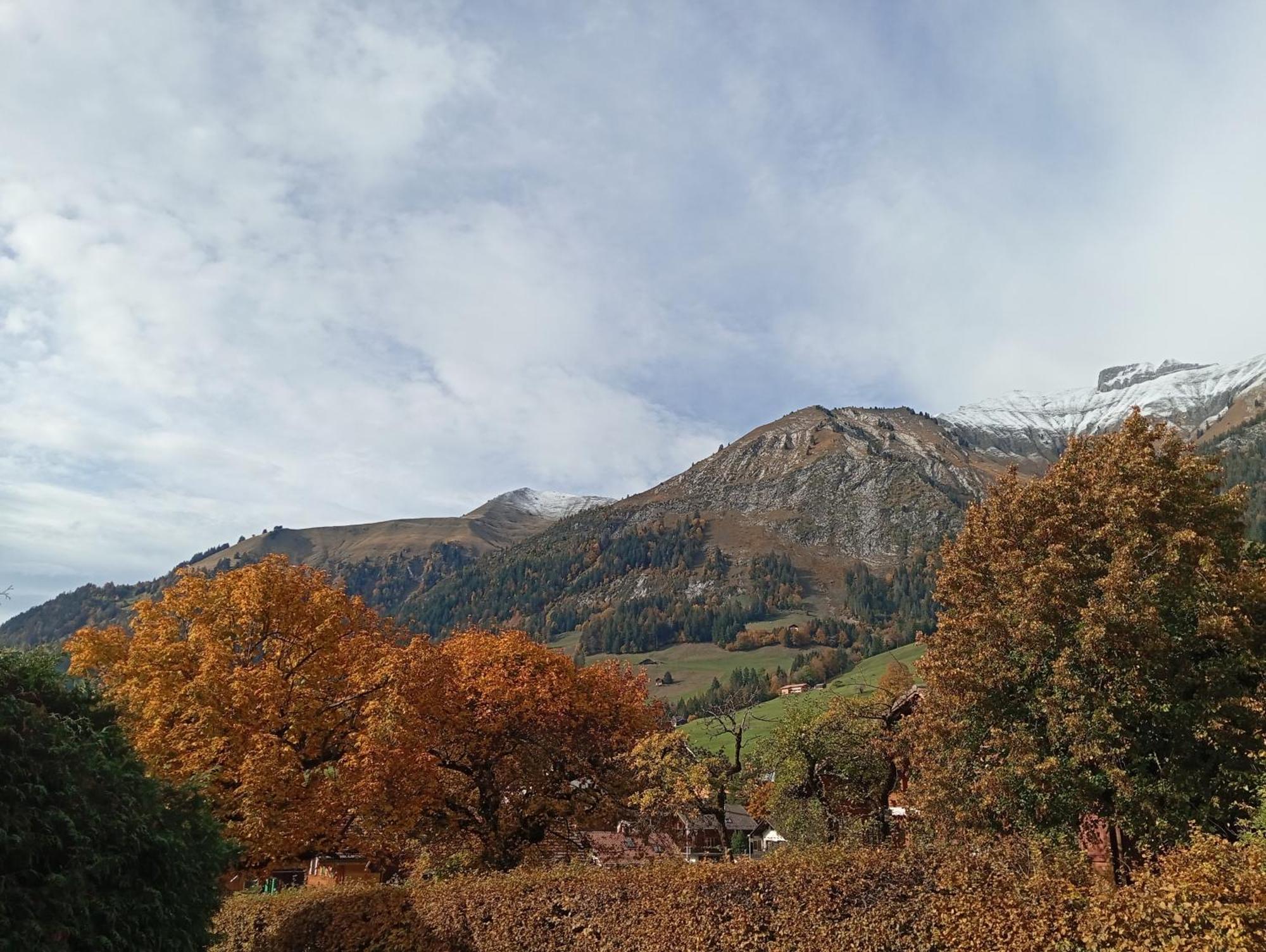 Cozy Apartment In The Heart Of The Alps Chateau-d'Oex Ruang foto